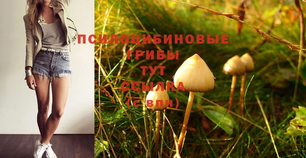 марихуана Баксан