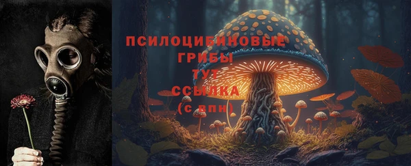 мдпв Балахна
